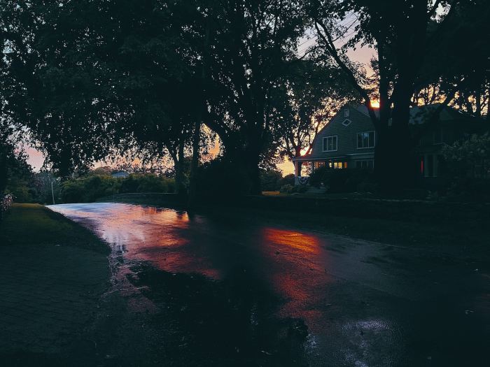 Most durable siding for house