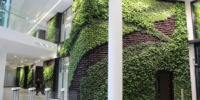 Green siding on house