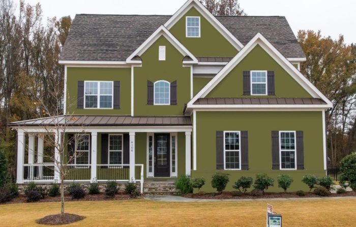 Siding olive house tuscan exterior green front vinyl stone porch colors ideas ranch homes shake mastic paint shakes color google